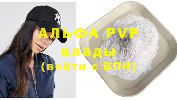 дурь Бородино