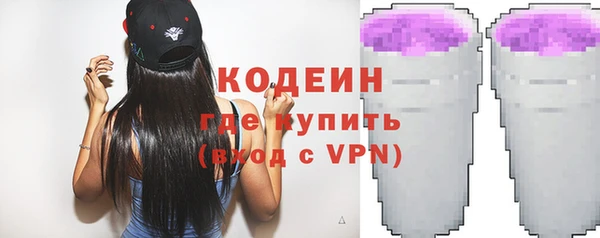 дурь Бородино