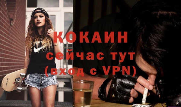 дурь Бородино