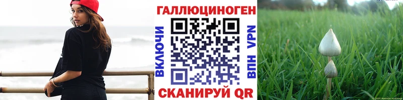 Галлюциногенные грибы Psilocybine cubensis  Купить  Кирсанов 